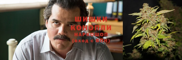 гидропоника Богданович