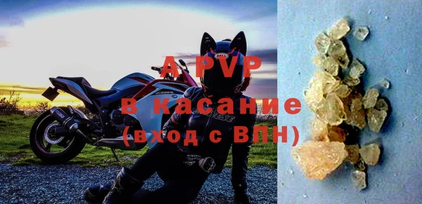 амф Богородицк