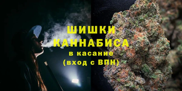 амф Богородицк