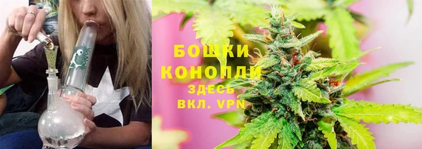 ПСИЛОЦИБИНОВЫЕ ГРИБЫ Богородск