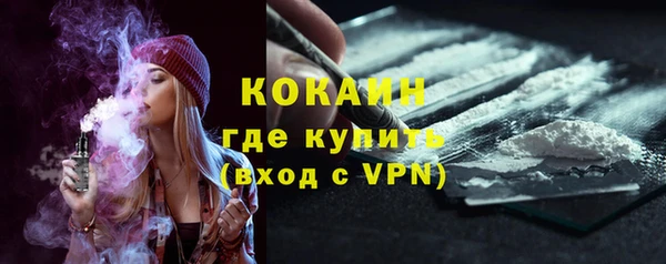 твердый Бронницы