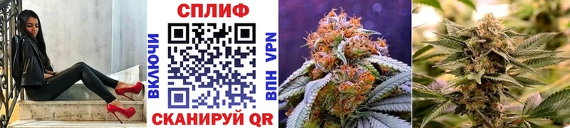 Марихуана White Widow Дигора